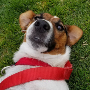 Meet your Posher, Julia